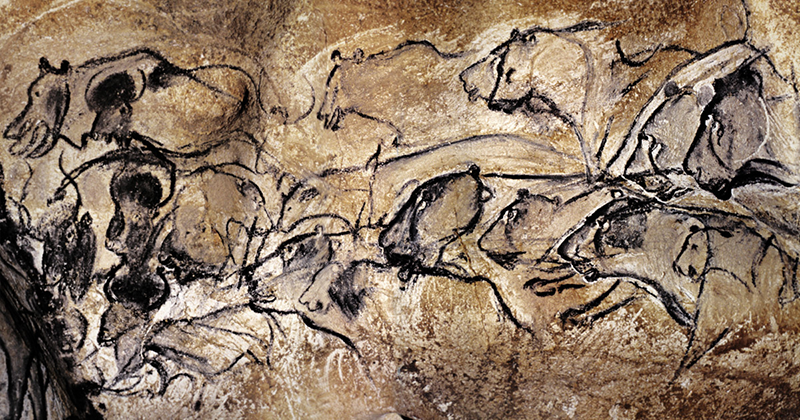 30,000 years old painting of female lions on a wall in the Chauvet Cave in southern France.