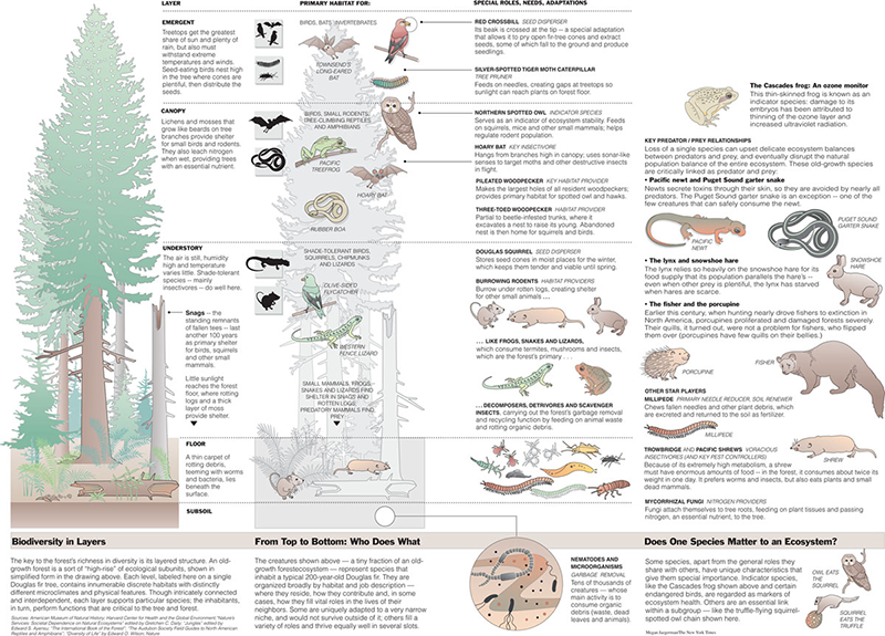 infographics for the The New York Times from 1990 to 1998